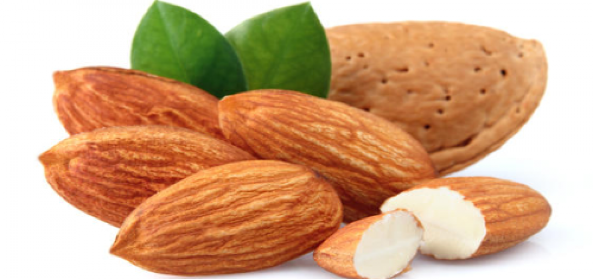 amandes-1200×565